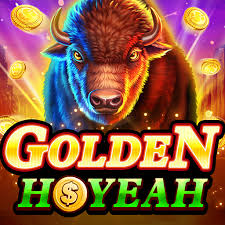 Cashback Program